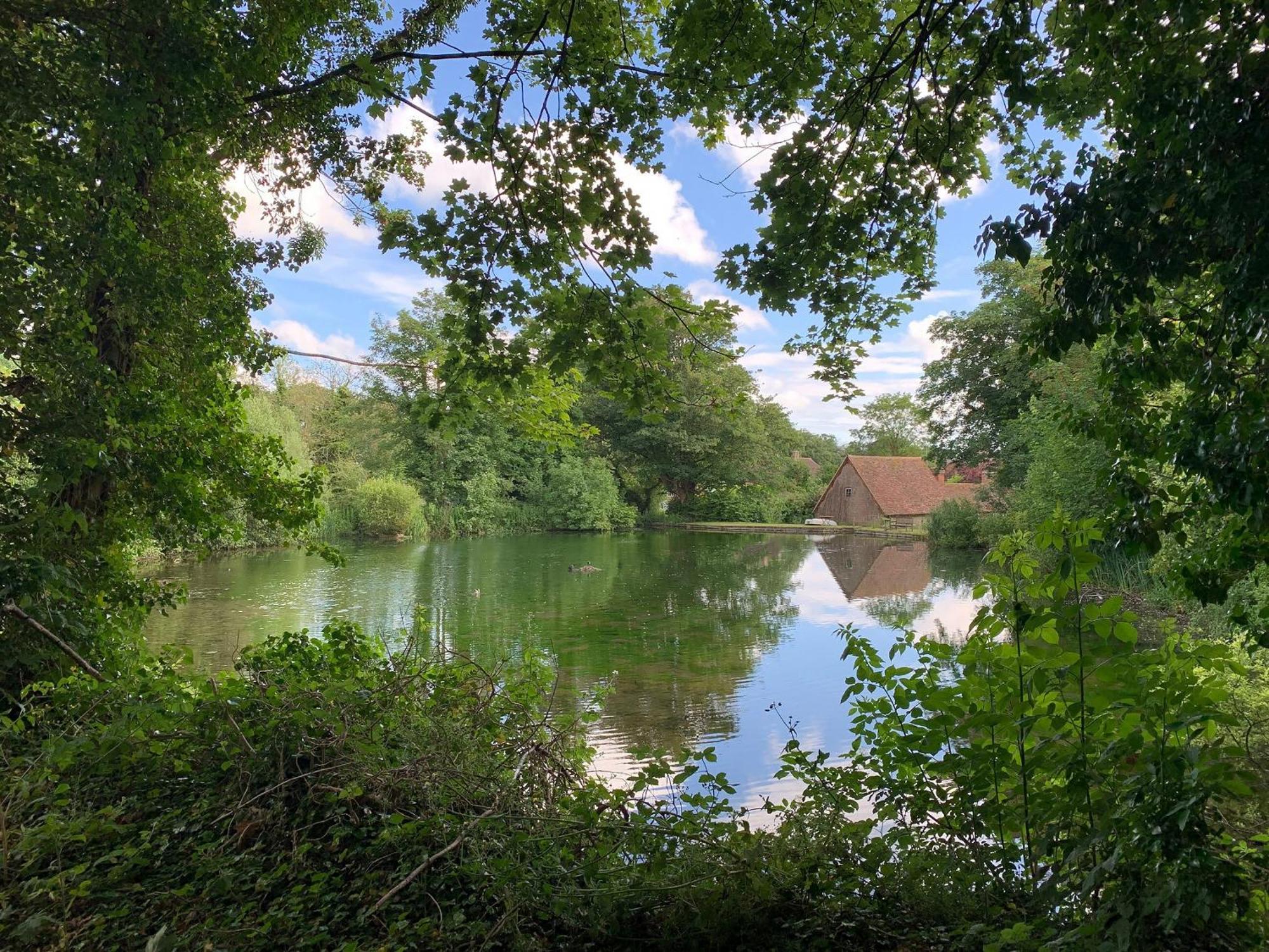 Moorhen Cottage Hollingbourne Eksteriør billede